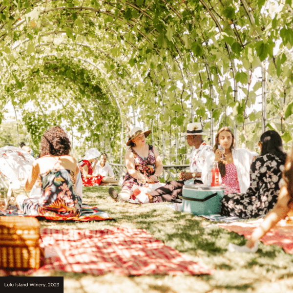 People sipping wines and enjoying a picnic at Lulu Winery vineyard in Richmond, BC